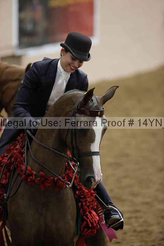 Proof Number 14yn_19833