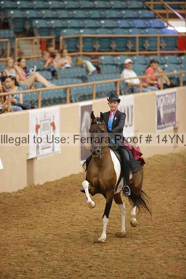 Proof Number 14yn_19837