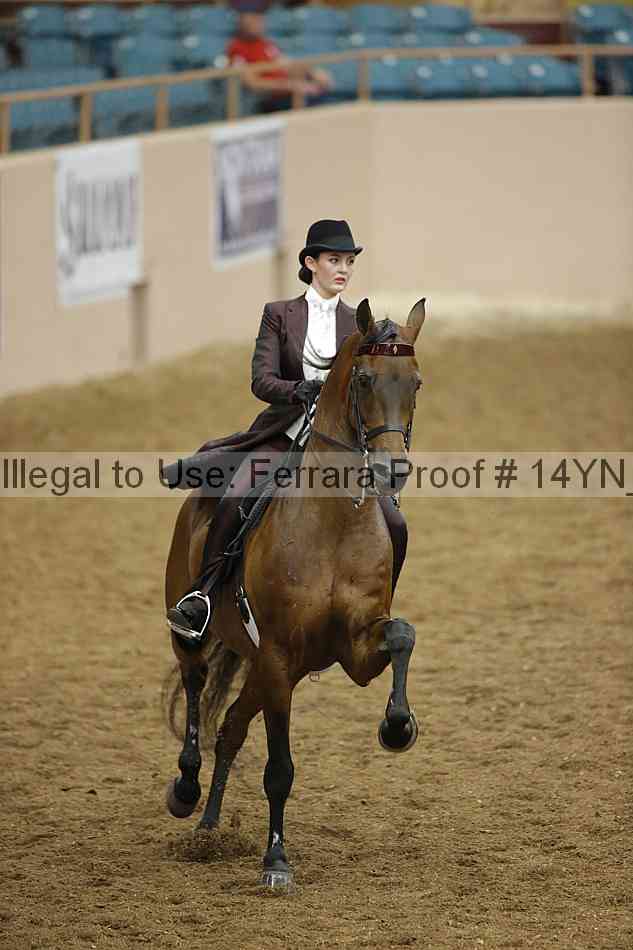 Proof Number 14yn_16803