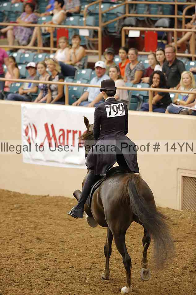 Proof Number 14yn_16818