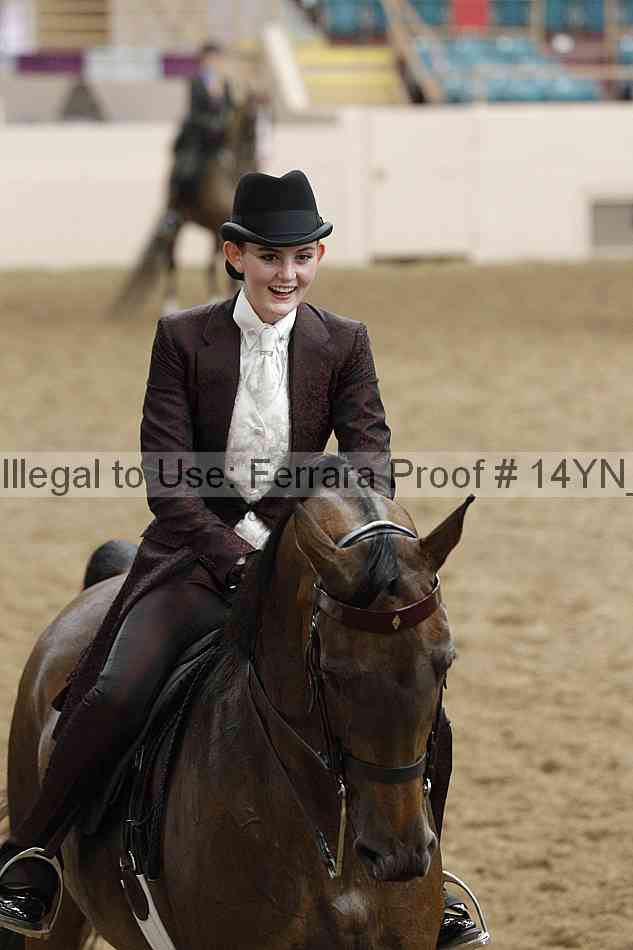 Proof Number 14yn_16907