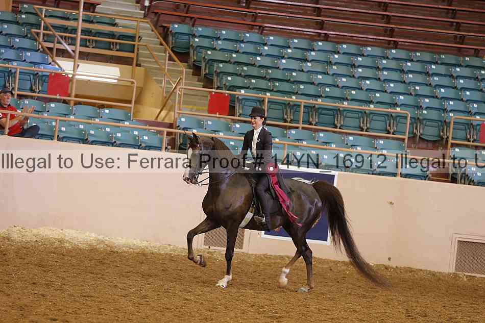 Proof Number 14yn_16912