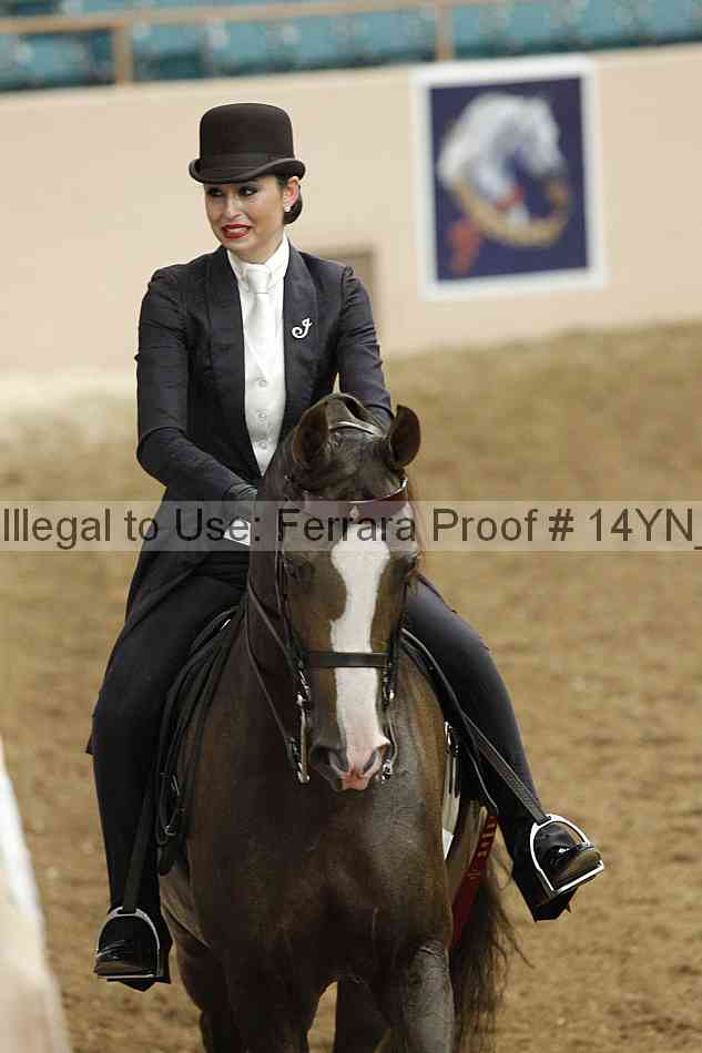 Proof Number 14yn_16917
