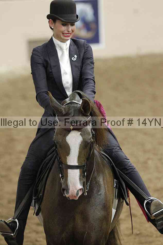 Proof Number 14yn_16920