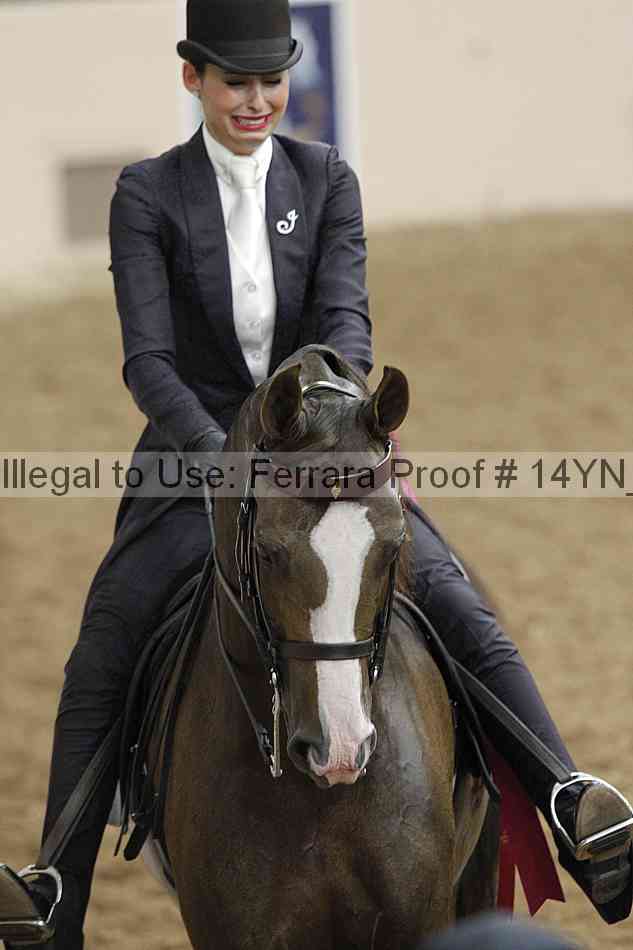Proof Number 14yn_16921