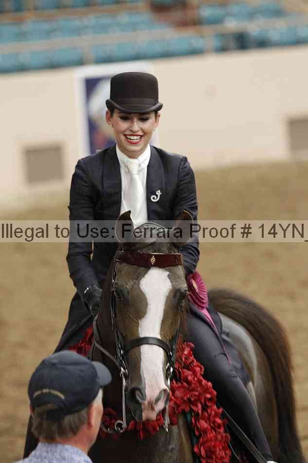 Proof Number 14yn_16937