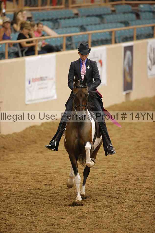 Proof Number 14yn_16962