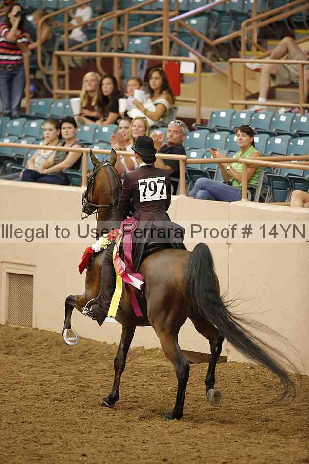 Proof Number 14yn_17010