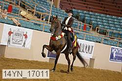 14yn_17011 thumbnail