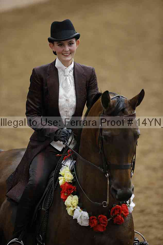 Proof Number 14yn_17022