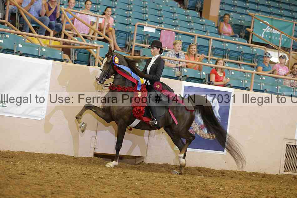 Proof Number 14yn_17031
