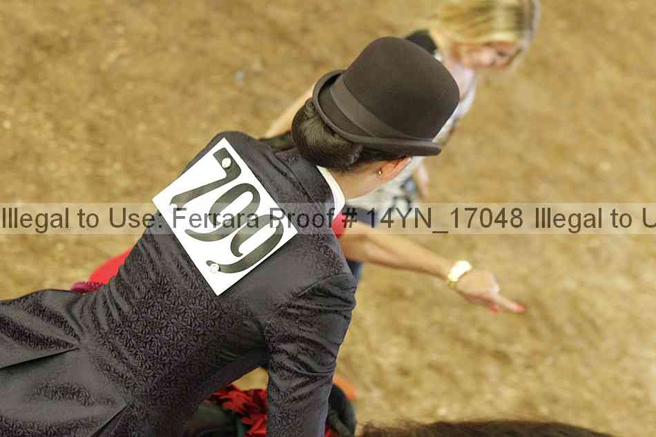 Proof Number 14yn_17048
