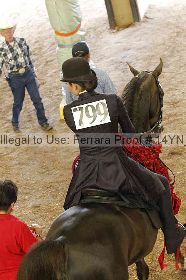 Proof Number 14yn_17050