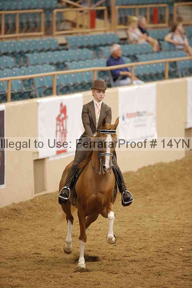 Proof Number 14yn_18423