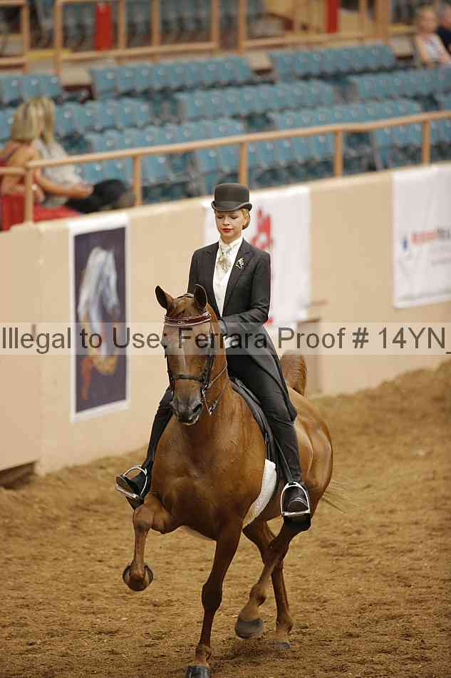 Proof Number 14yn_18514