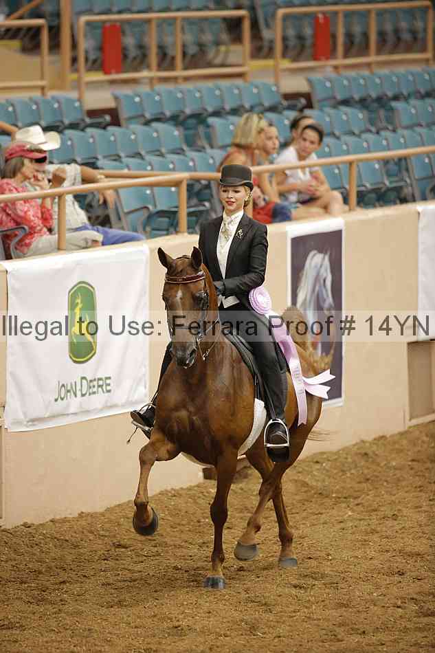 Proof Number 14yn_18536