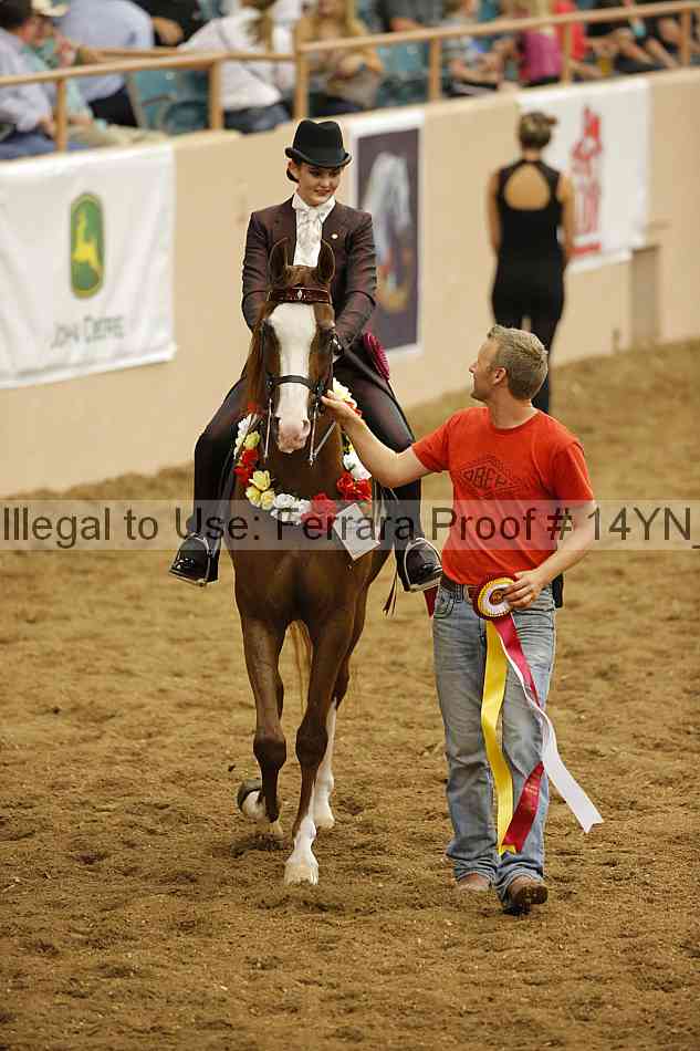 Proof Number 14yn_31517