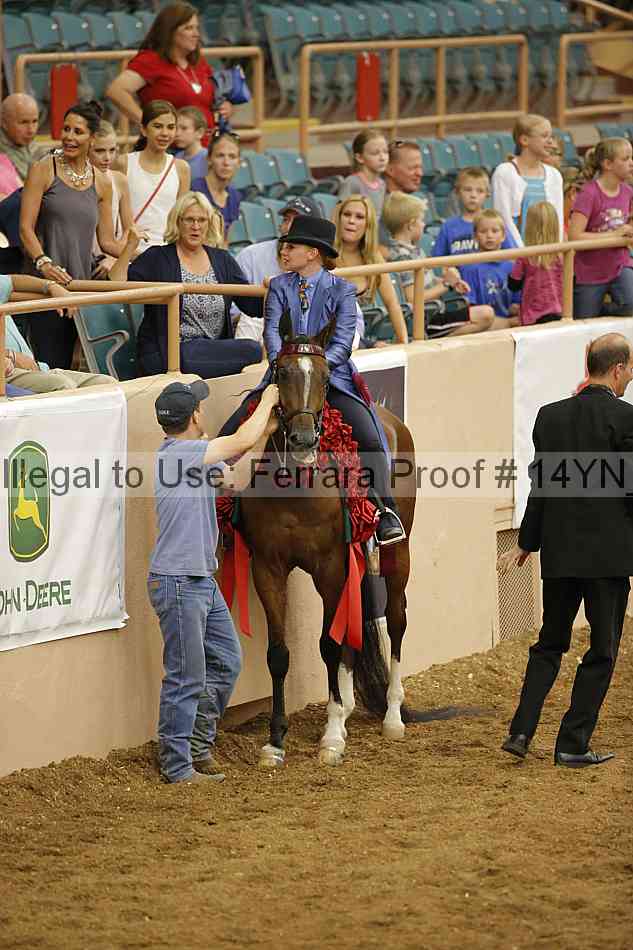 Proof Number 14yn_31540