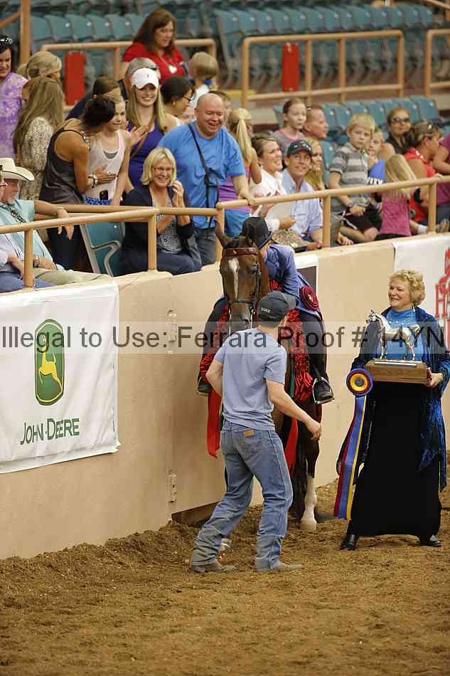 Proof Number 14yn_31554