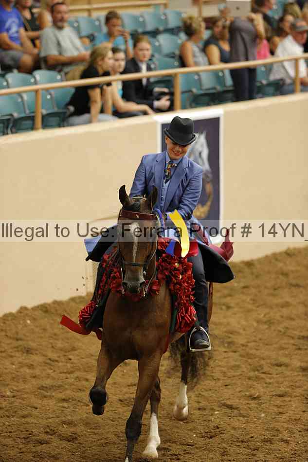 Proof Number 14yn_31640