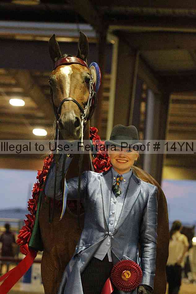 Proof Number 14yn_31835