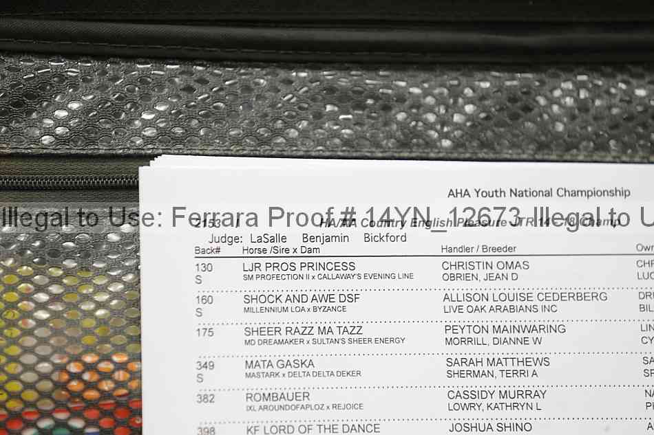 Proof Number 14yn_12673