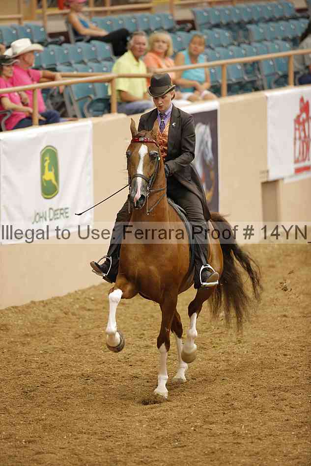 Proof Number 14yn_12705
