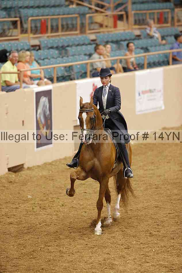 Proof Number 14yn_12707