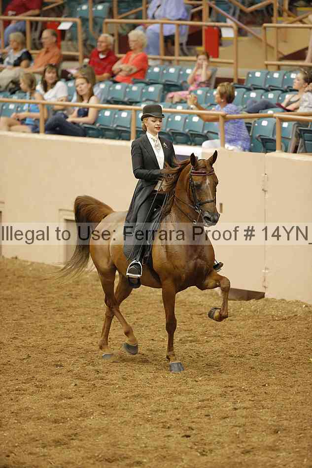 Proof Number 14yn_12807