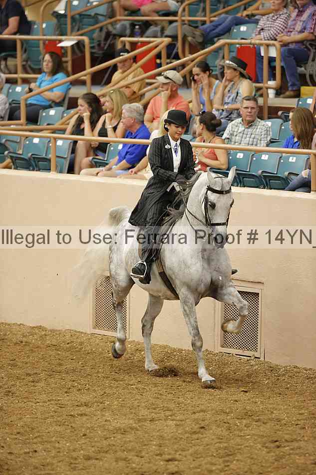 Proof Number 14yn_12809