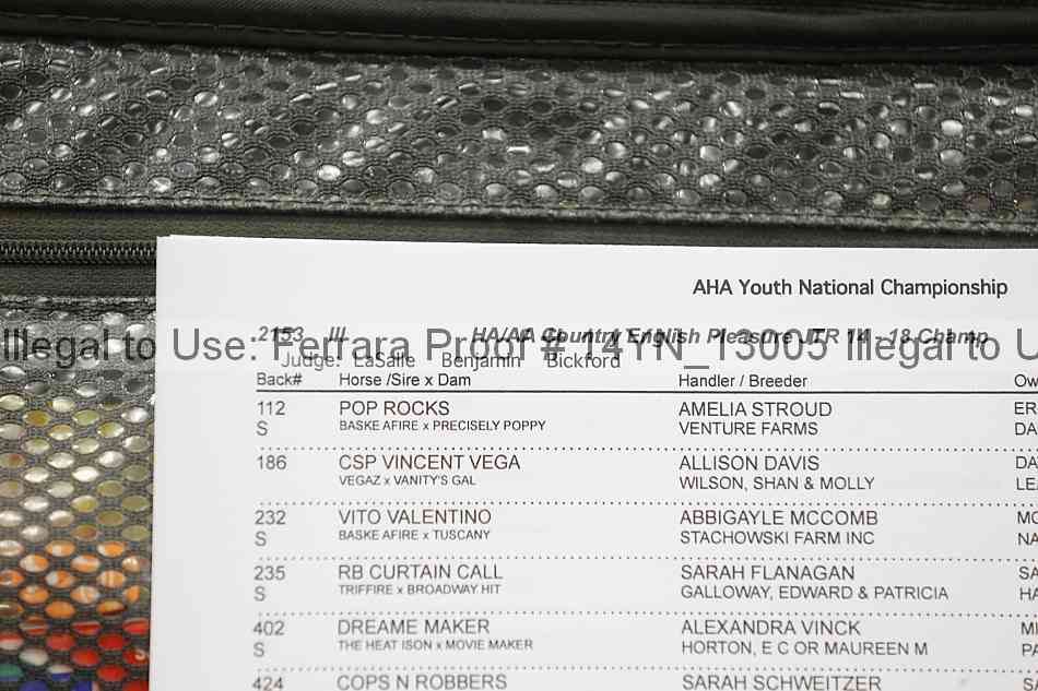 Proof Number 14yn_13005