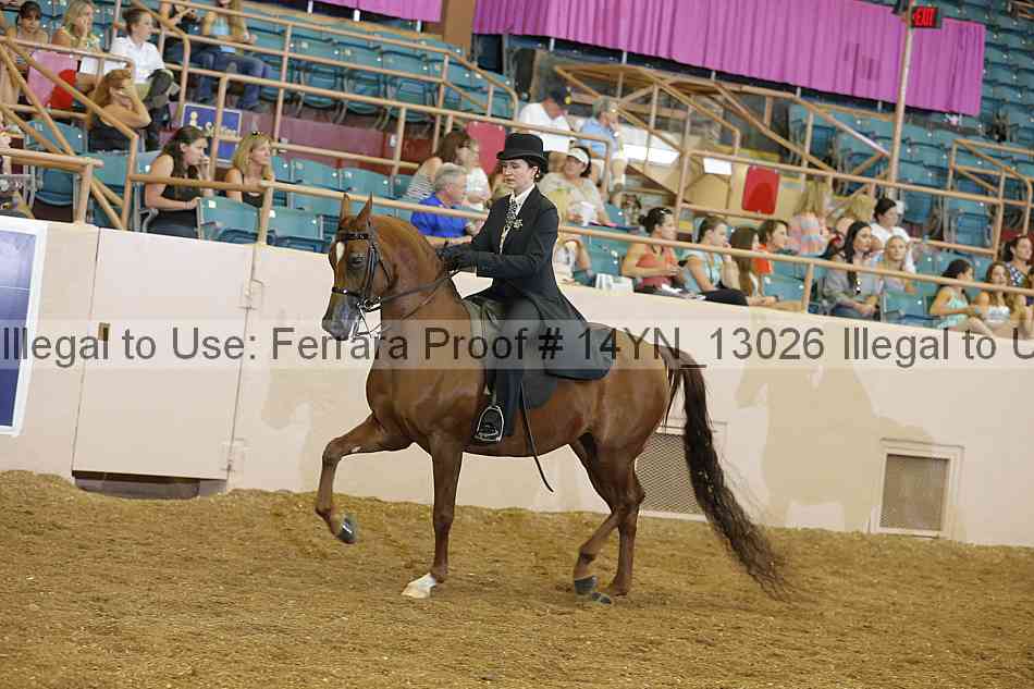 Proof Number 14yn_13026