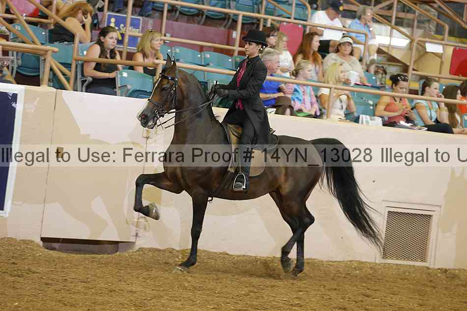 Proof Number 14yn_13028