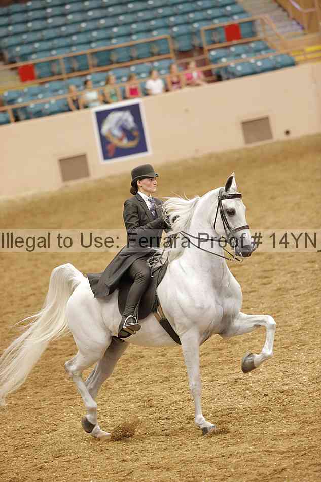 Proof Number 14yn_13029