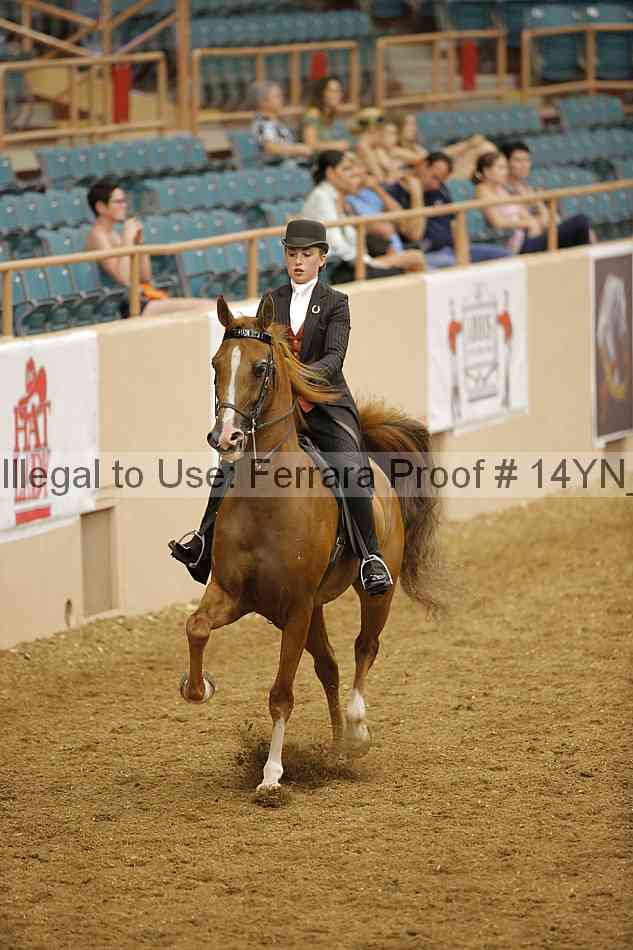 Proof Number 14yn_13046