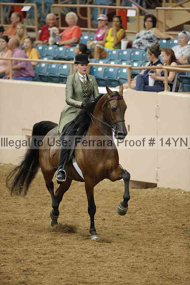 Proof Number 14yn_13053