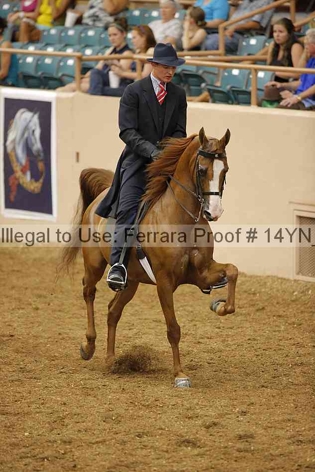 Proof Number 14yn_13059