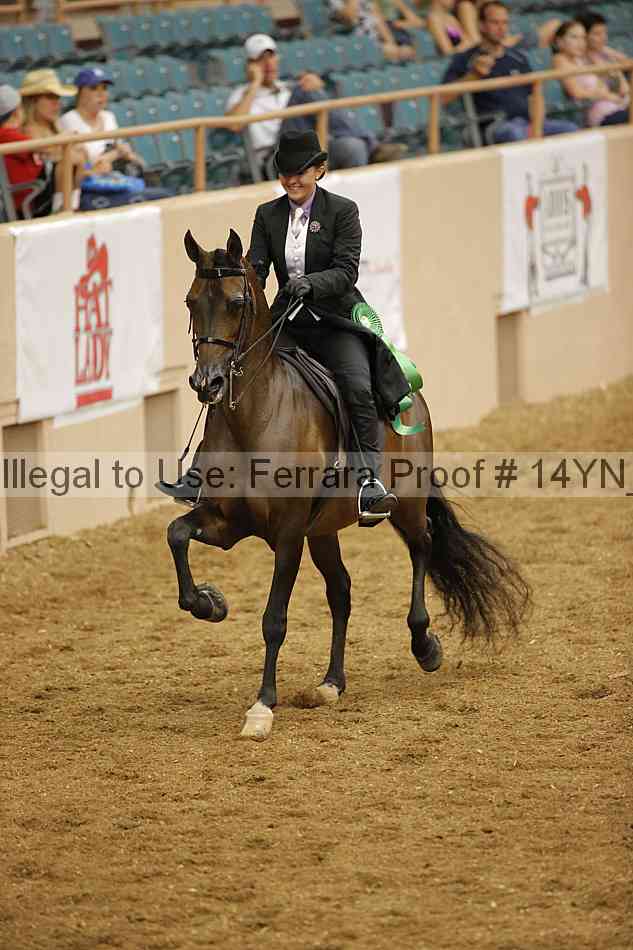Proof Number 14yn_13074