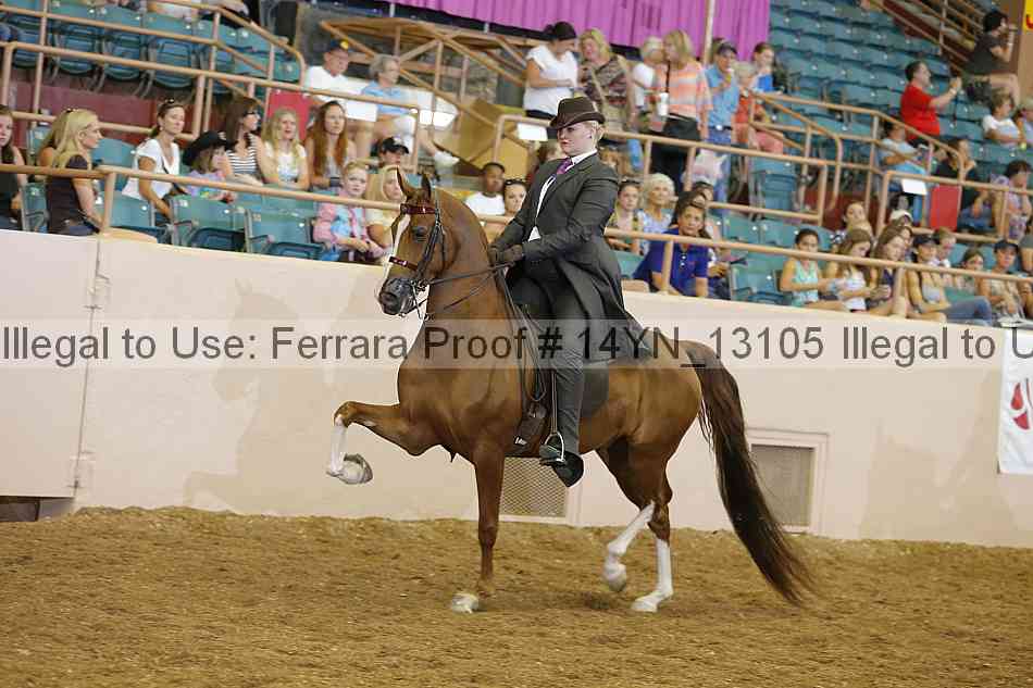 Proof Number 14yn_13105