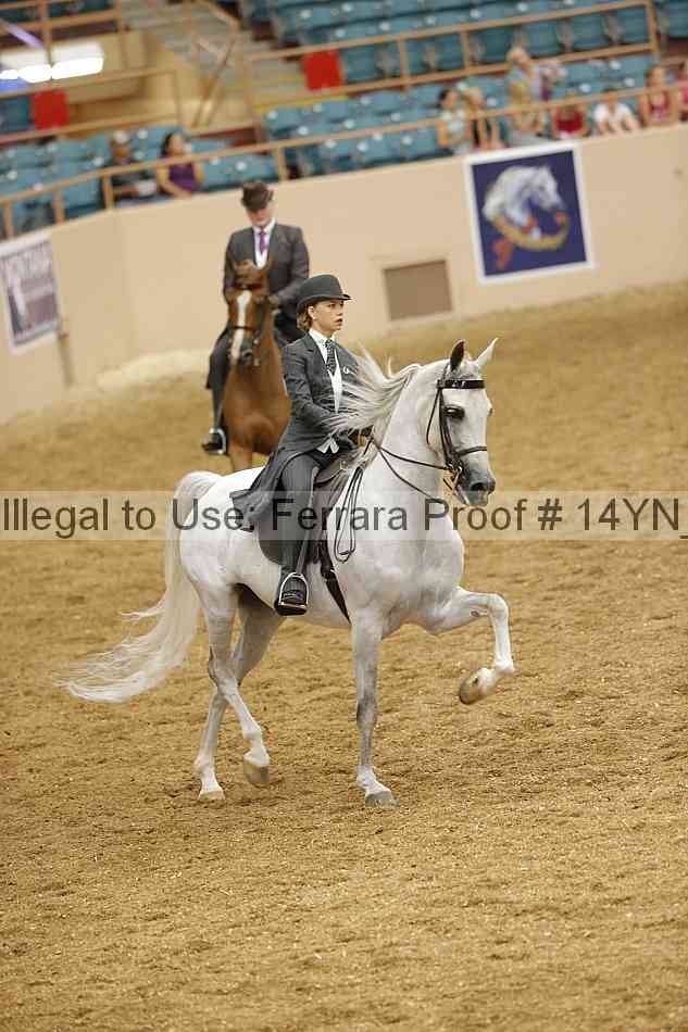 Proof Number 14yn_13116