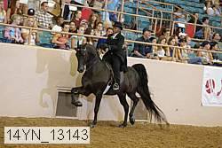 14yn_13143 thumbnail