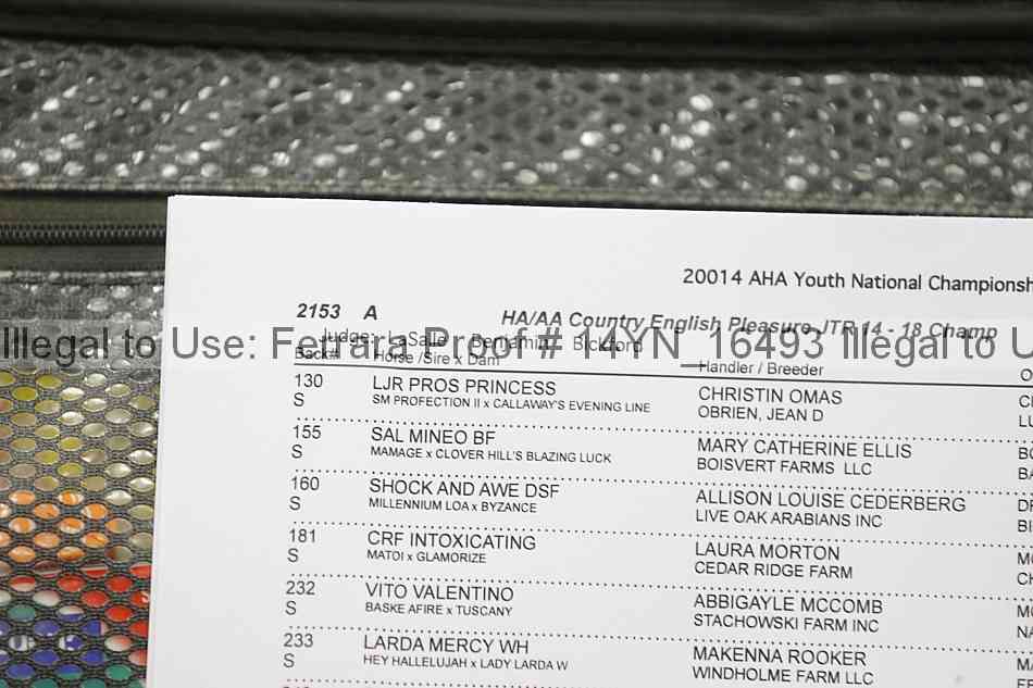 Proof Number 14yn_16493