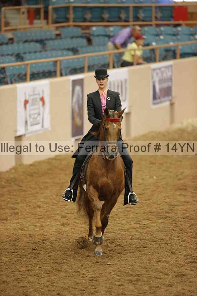 Proof Number 14yn_16508