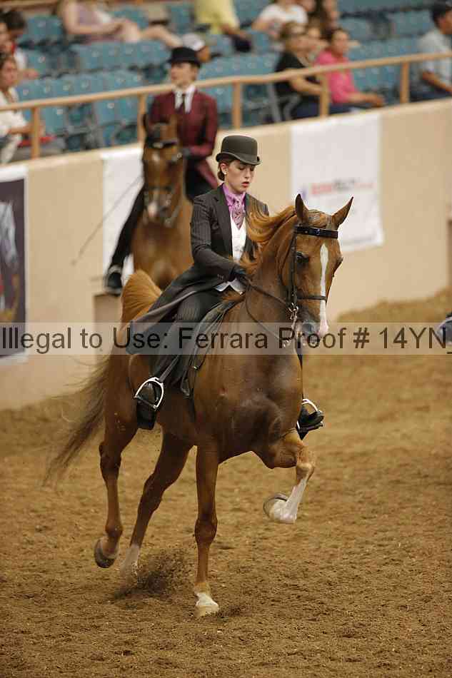 Proof Number 14yn_16534