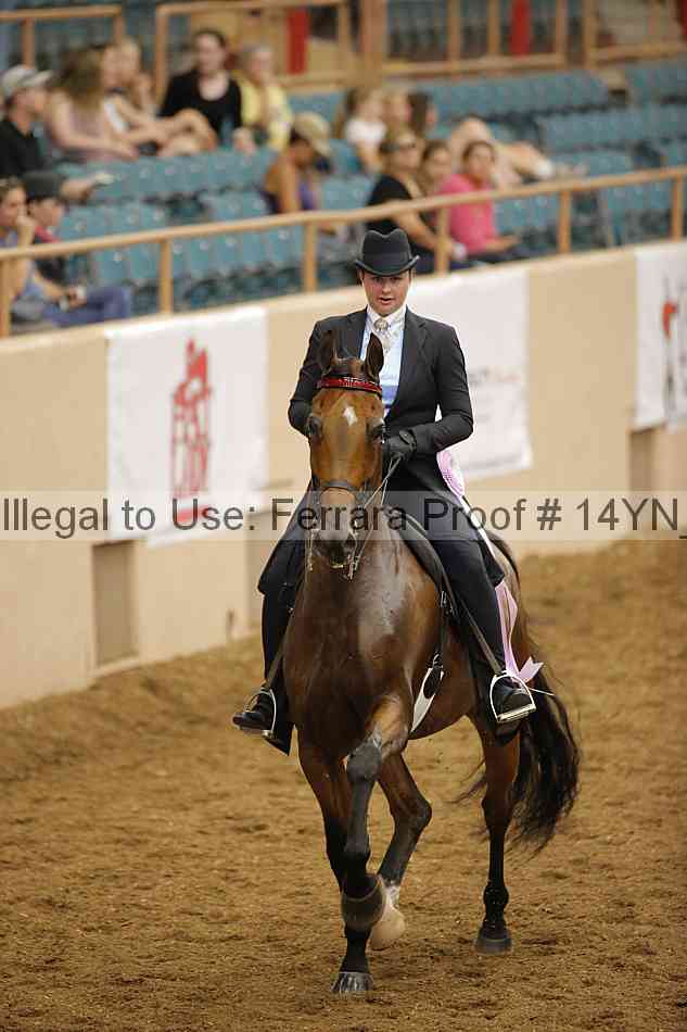 Proof Number 14yn_16611
