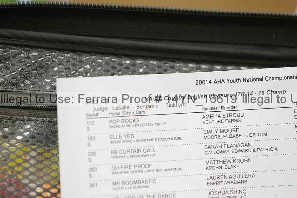 Proof Number 14yn_16619