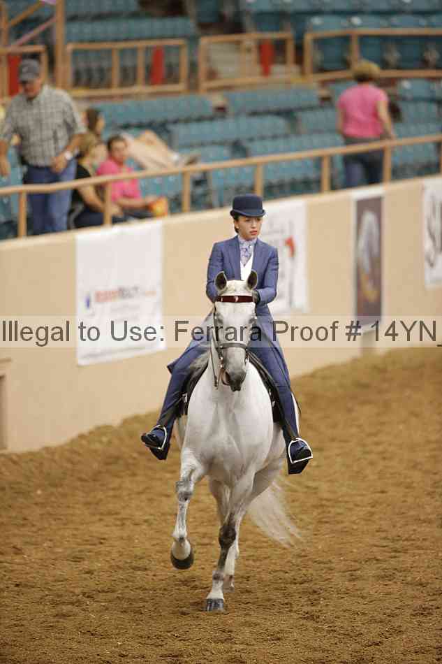 Proof Number 14yn_16633