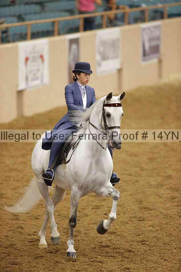 Proof Number 14yn_16634