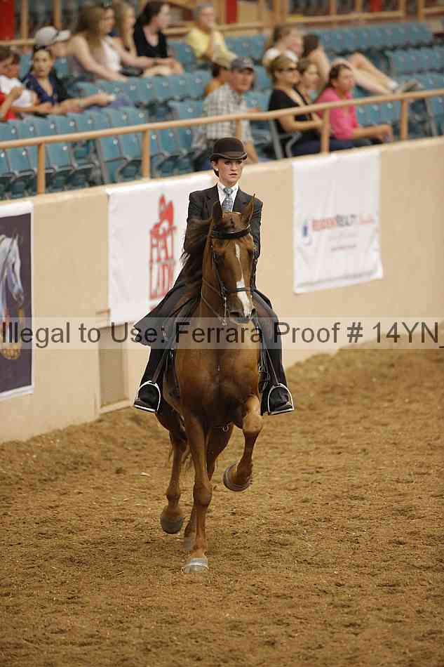 Proof Number 14yn_16645