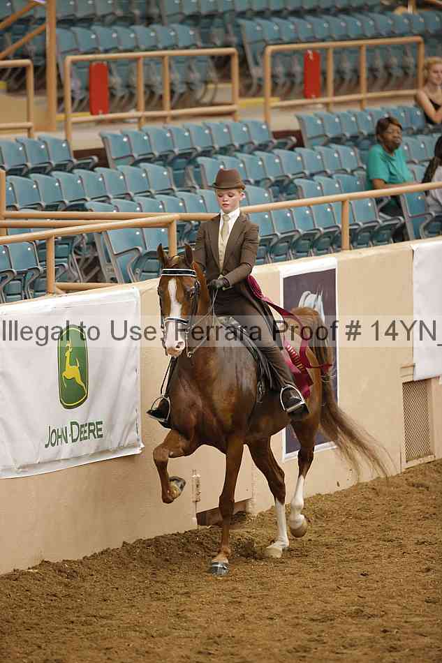Proof Number 14yn_26263